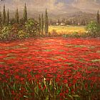 Poppy Field Splendor